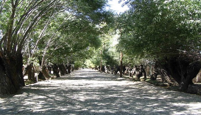 خریدار ضایعات در باغستان